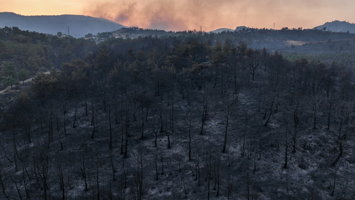 2 gün boyunca alev alev yandı! Çanakkale’deki orman yangınında soğutma çalışması devam ediyor