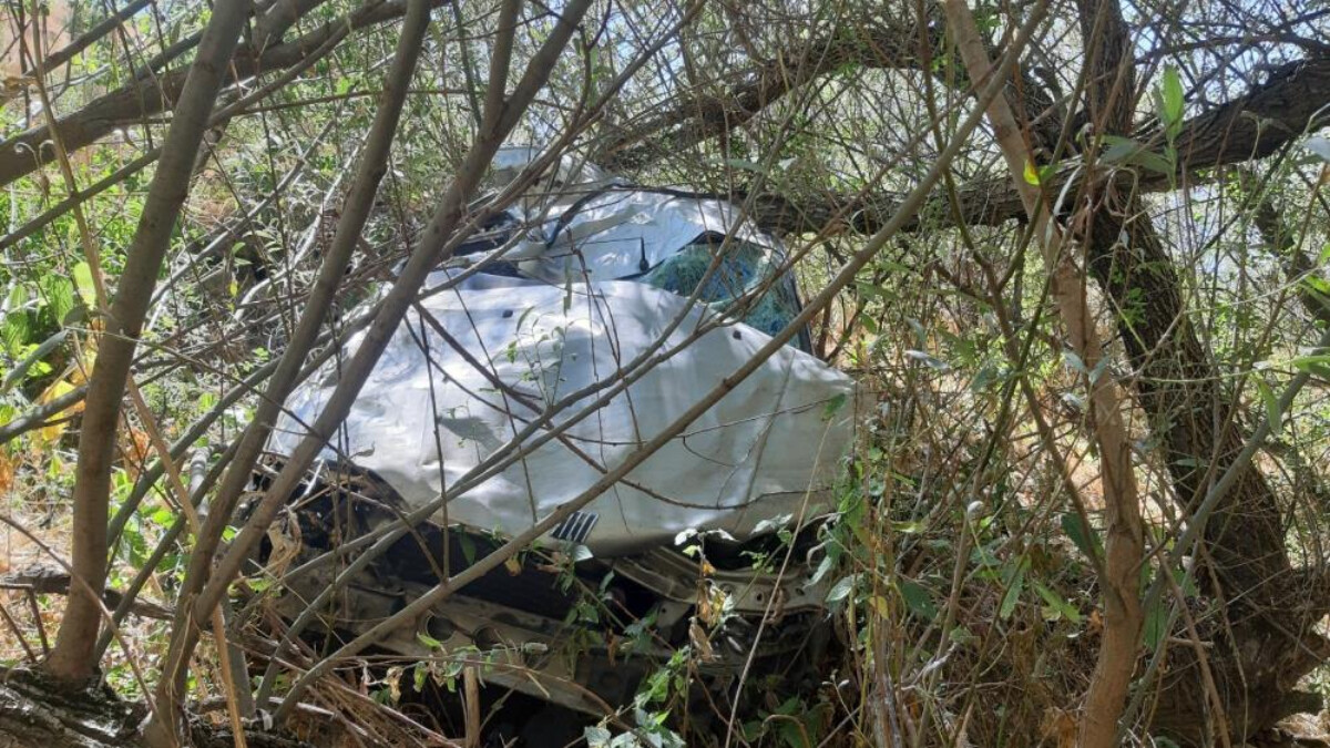 Adana’da köpeğe çarpmamak için manevra yapan otomobil uçurumdan düştü: 4 ölü