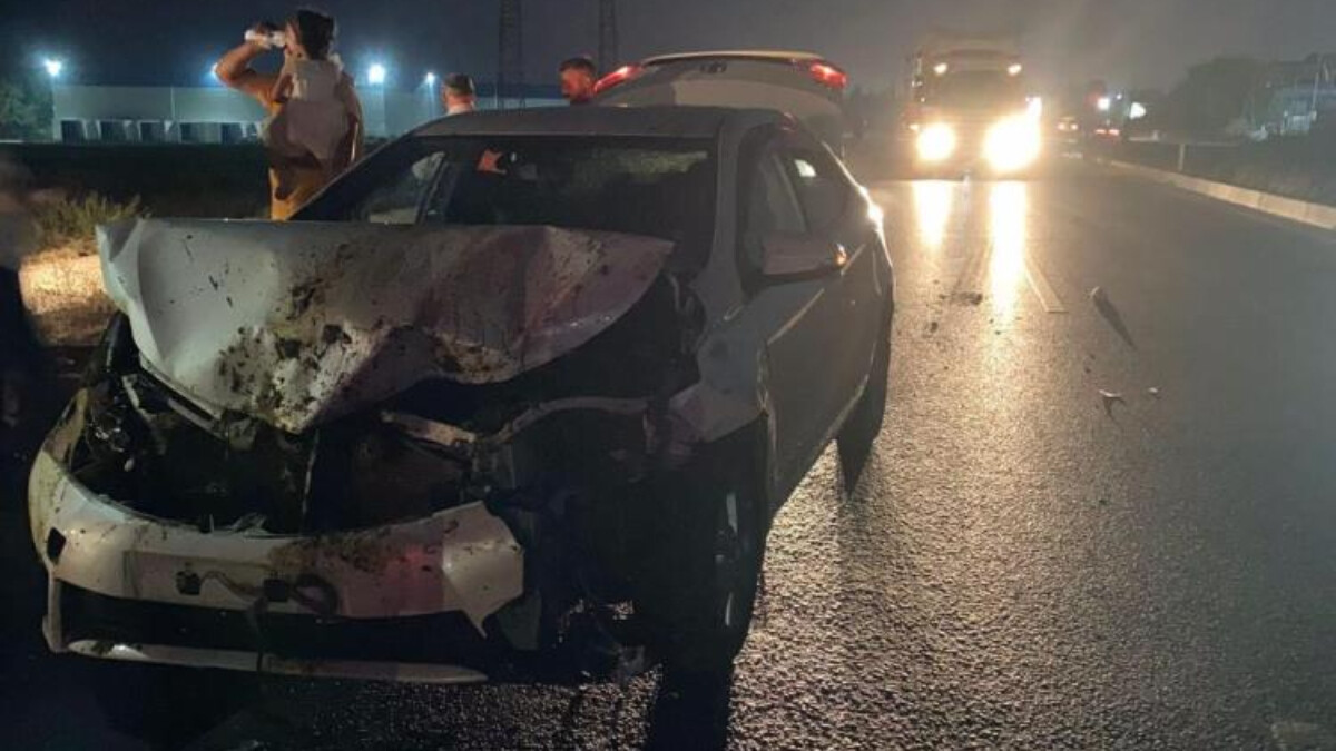 Adana’da otomobilin çarptığı sürüdeki 100 kadar koyun telef oldu