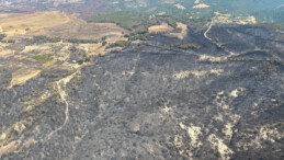 AFAD’dan Çanakkale yangınıyla ilgili açıklama: Yardım ödemeleri başladı