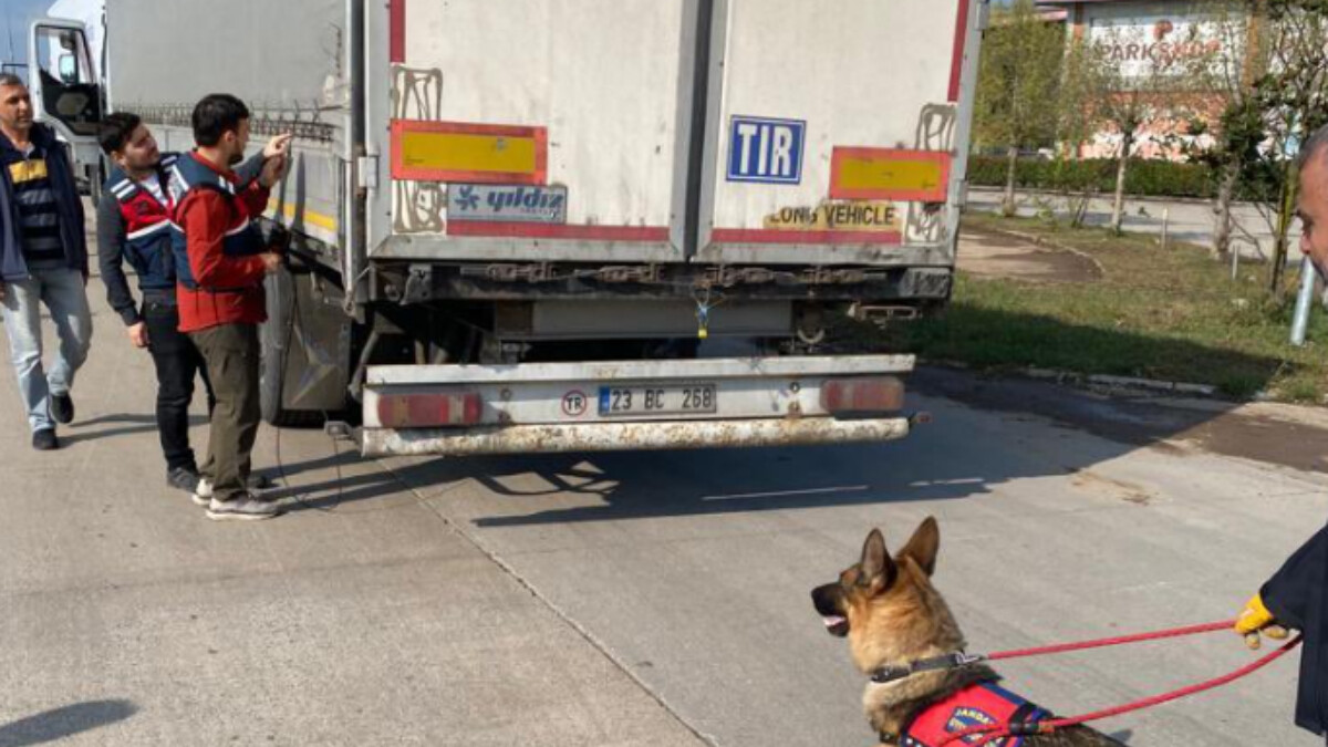 Ali Yerlikaya, Hatay ve Sakarya’da göçmen kaçakçılığı operasyonunu paylaştı: 39 gözaltı