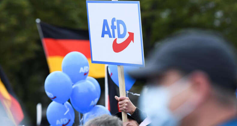 Almanya’da AfD Partisinin yükselişi, ülke için tehlikeli görülüyor