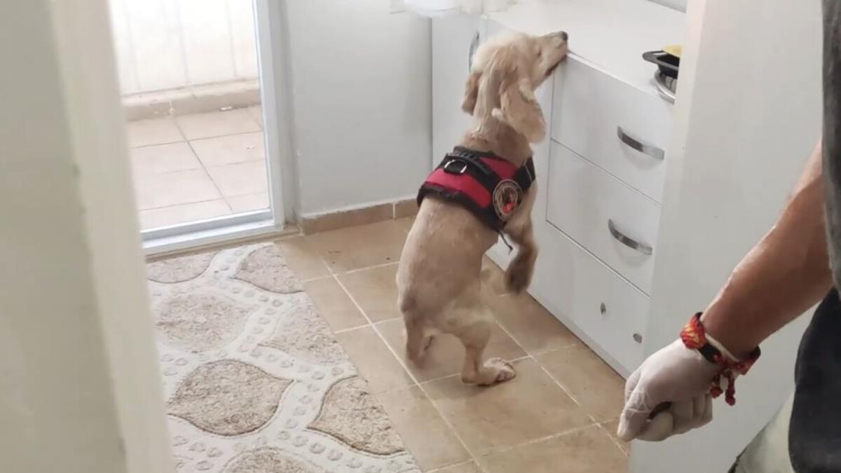 Ankara’da 9 kilogram kokain Çaki’ye takıldı