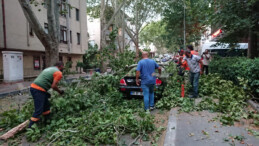 Ankara’da şiddetli rüzgarın ardından ağaçlar devrildi, ağaçlar