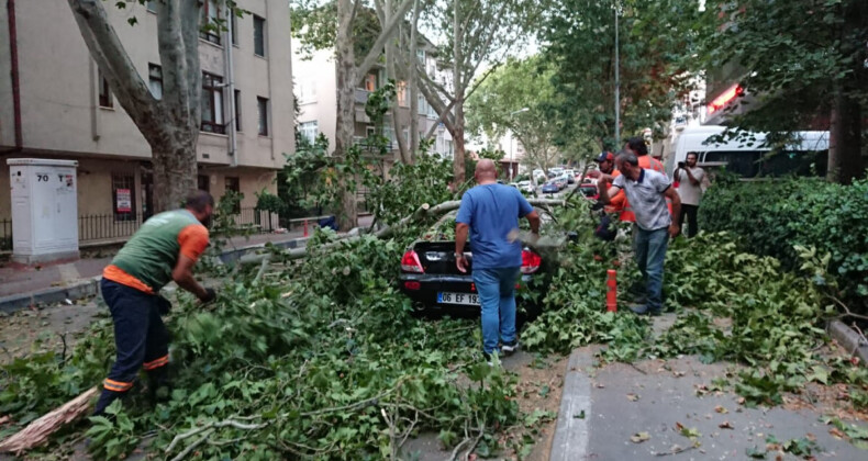 Ankara’da şiddetli rüzgarın ardından ağaçlar devrildi, ağaçlar