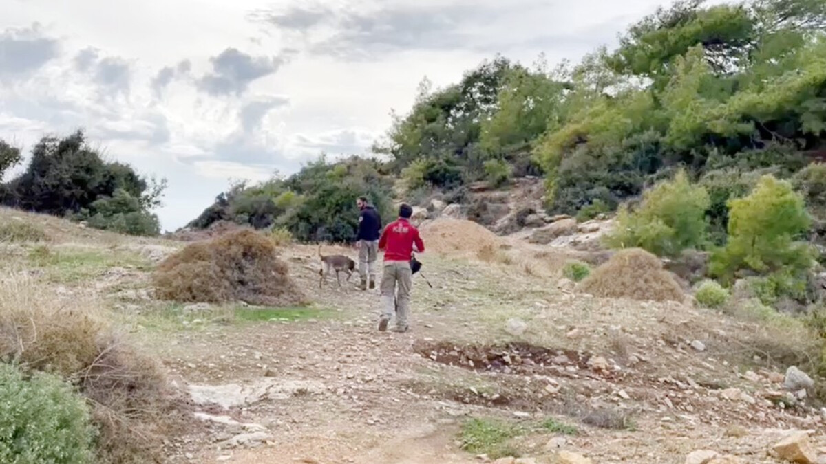 Antalya’da 275 gün önce kaybolan genç kızdan haber alınamadı