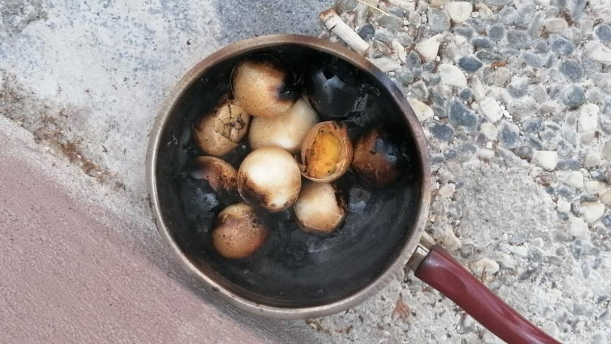 Antalya’da ocakta unutulan yumurtalar paniğe neden oldu