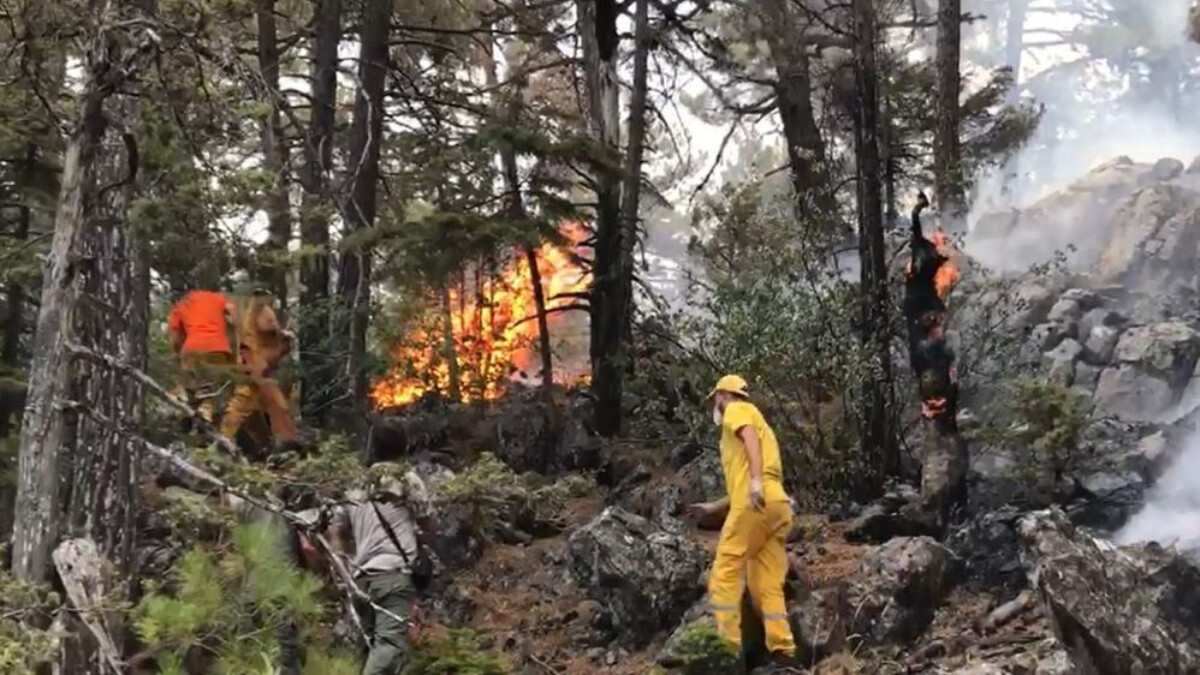 Antalya’daki yangında 45 hektar alan yandı