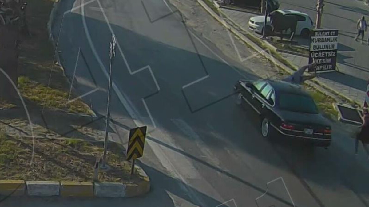 Aydın’da yaya geçidi kuralına uymayan sürücü yaşlı kadını hayattan kopardı