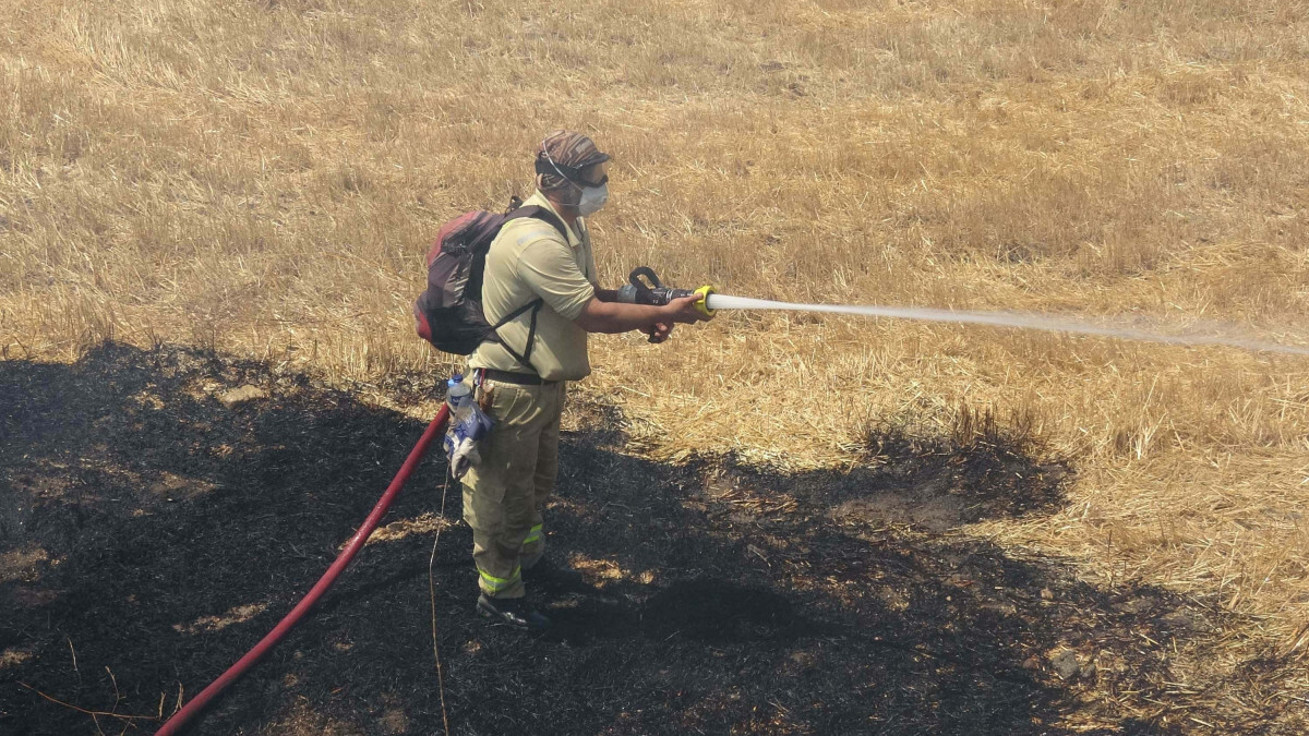 Balıkesir’de 110 hektarlık alan küle döndü