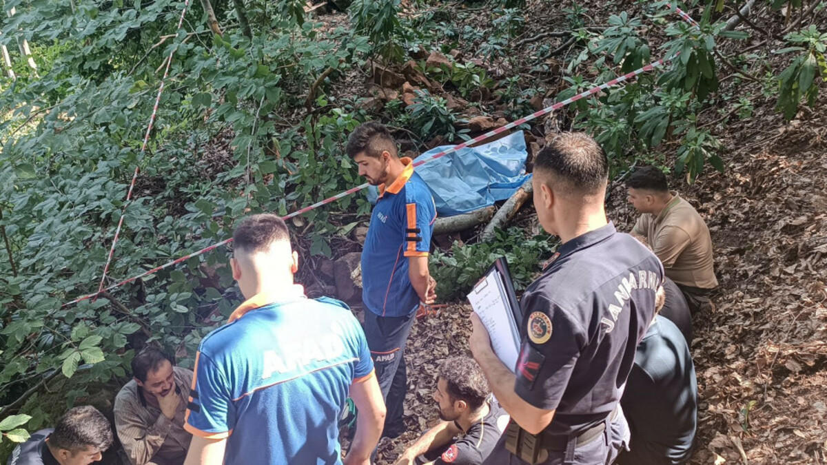 Bartın’da ağacın altında kalan orman işçisi öldü