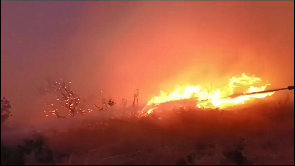 Bilecik ve Bursa’daki yangınlar kontrol altında