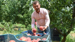 Bilecik’in şeftalisi, sınırları aşarak yabancı pazarlarda da ilgi görüyor