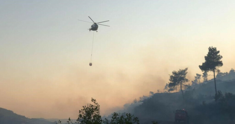 Bilecik’te çıkan orman yangını kontrol altına alındı