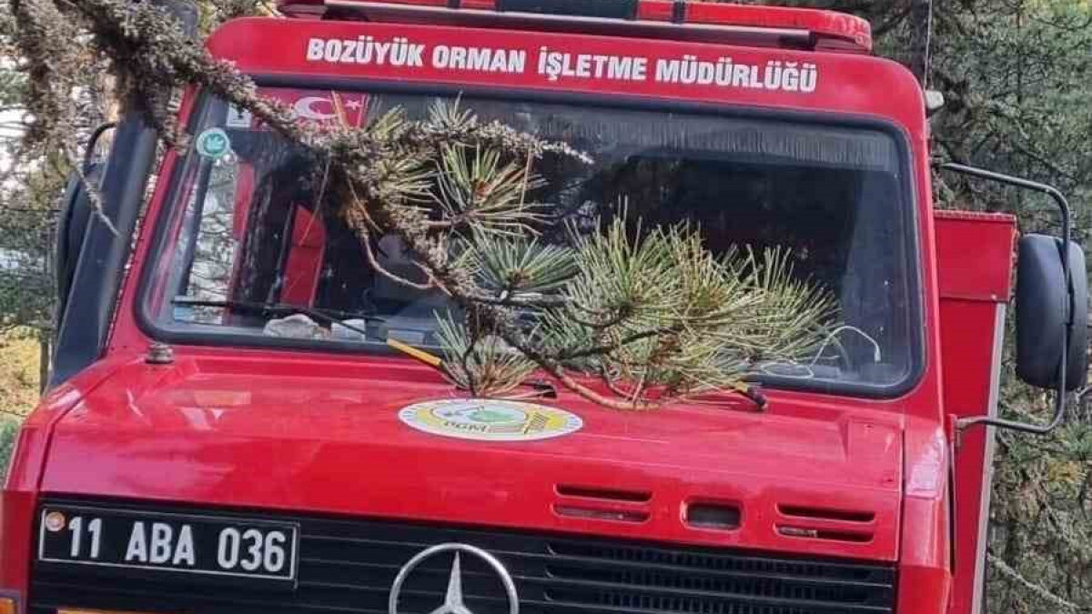 Bilecik’te yıldırım düşmesi sonucu yangın paniği