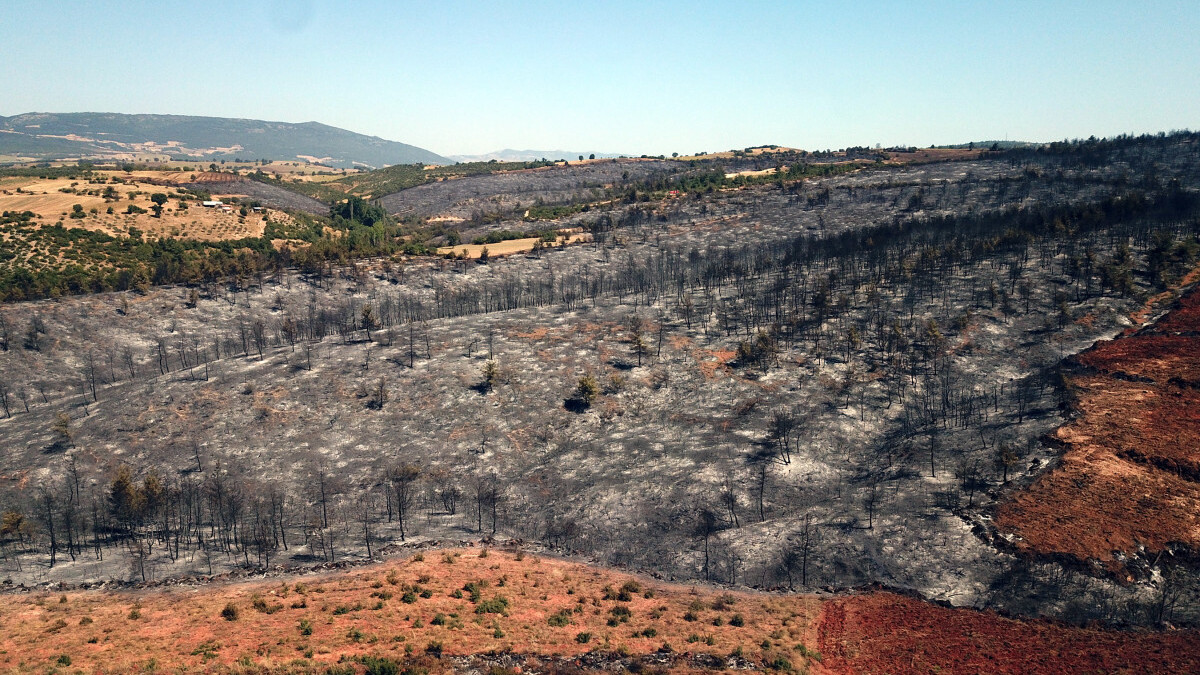 Bilecik’ten Bursa’ya sıçradı: 19 saatte söndürülen orman yangınından geriye kalan manzara…