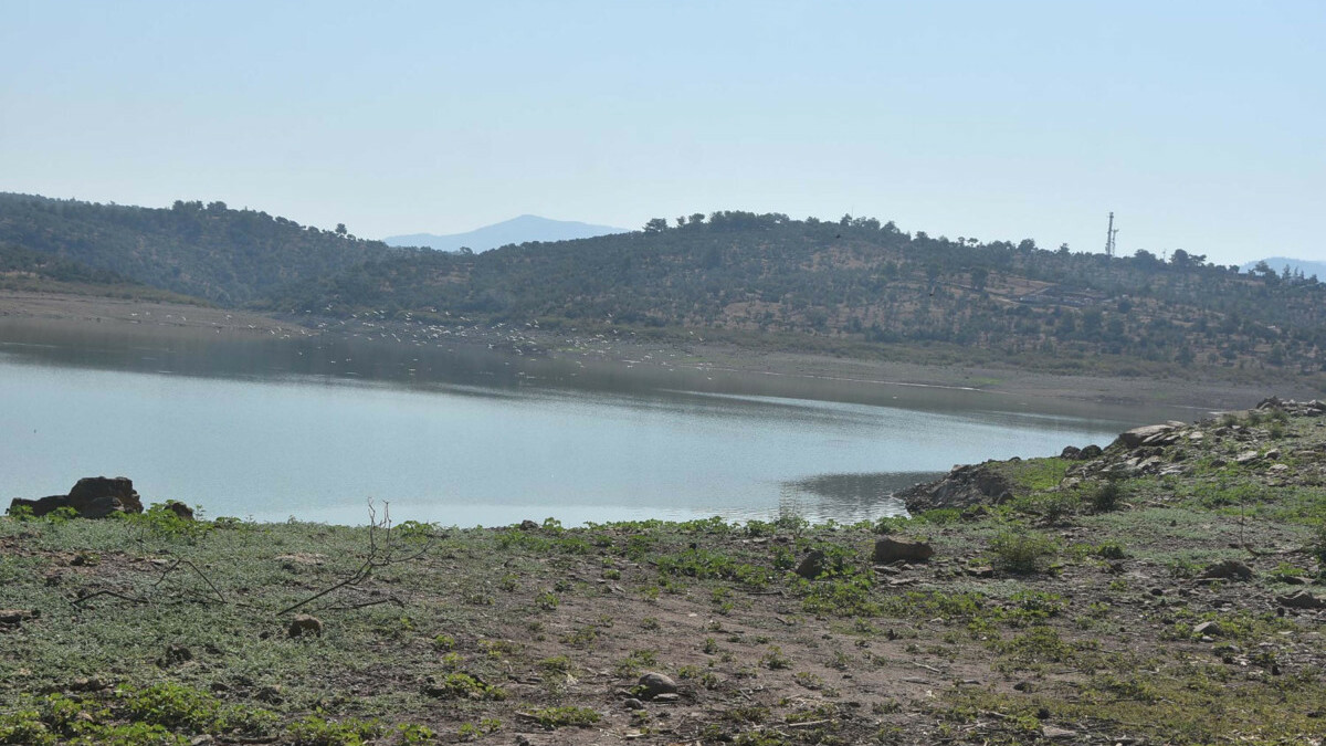 Bodrum’da altyapı sorunları kontrolden çıktı: İçme suyunda salgın riski