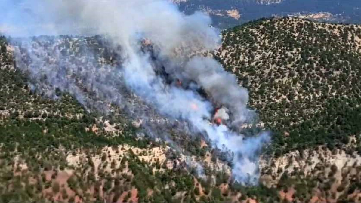 Bolu’da orman yangını çıktı