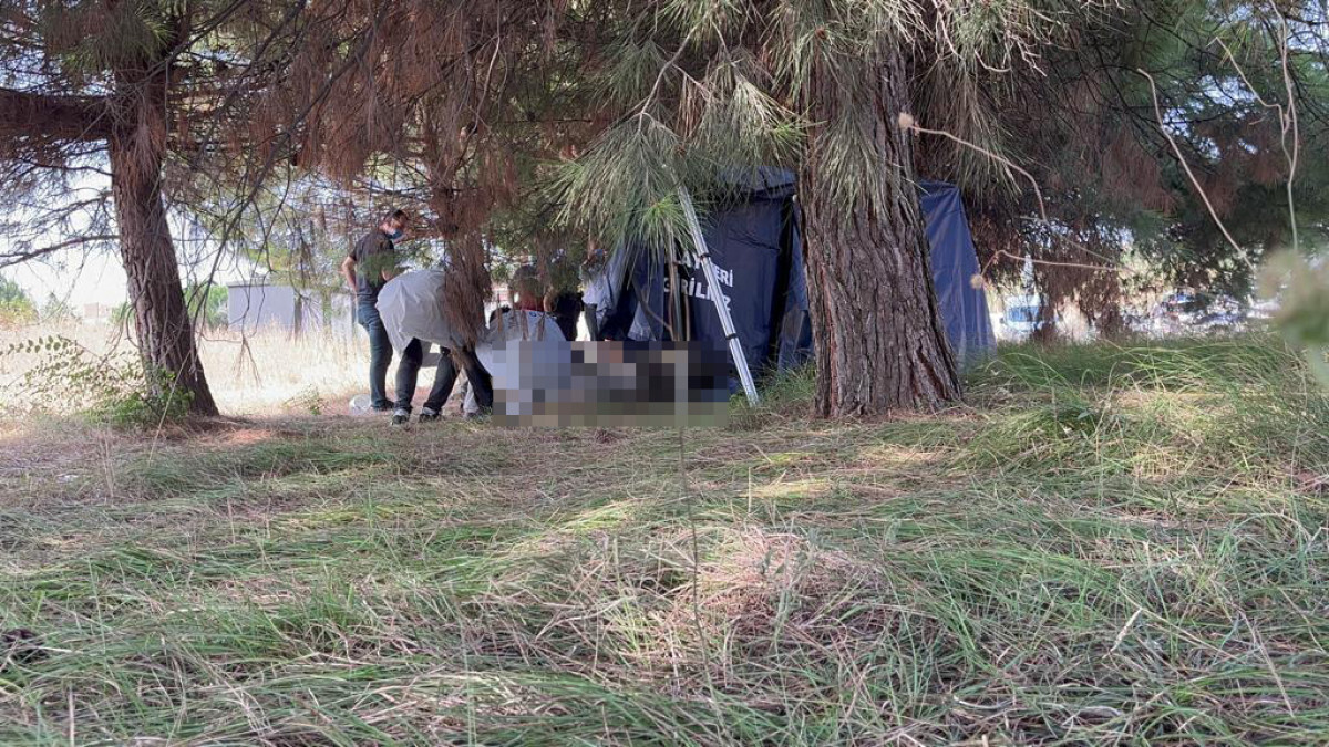 Bursa’da yol kenarındaki ormanda erkek cesedi bulundu