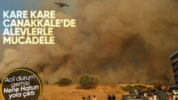 Çanakkale’de orman yangını: Kare kare yangının boyutu