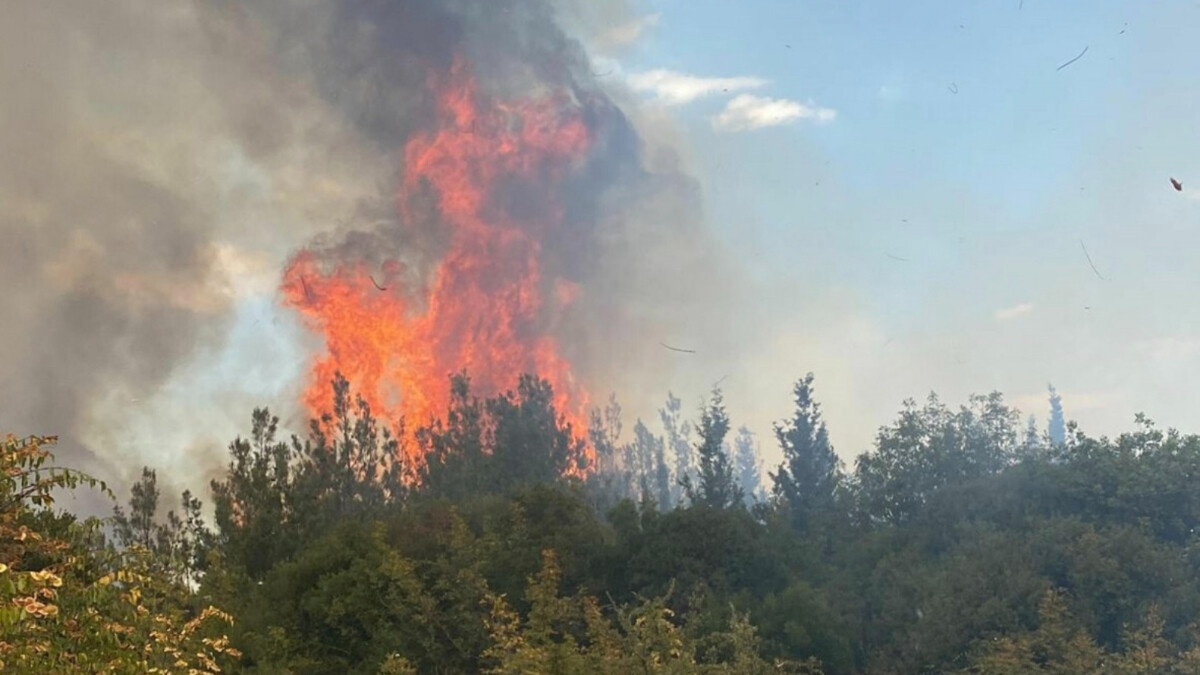 Çanakkale’de orman yangını