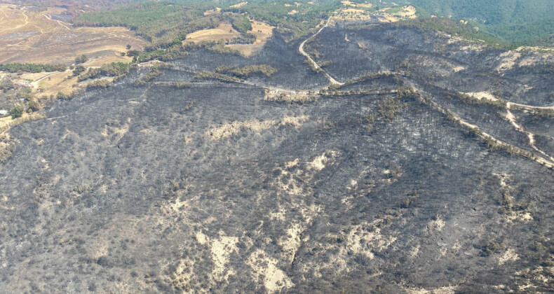 Çanakkale’de yangın kontrol altına alındı! 4 bin 80 hektar alan kül oldu