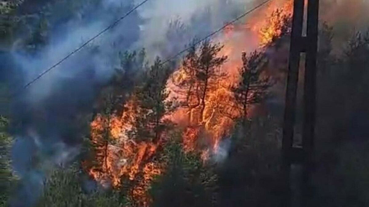 Çanakkale’deki orman yangınının çıktığı ilk anlar görüntülendi