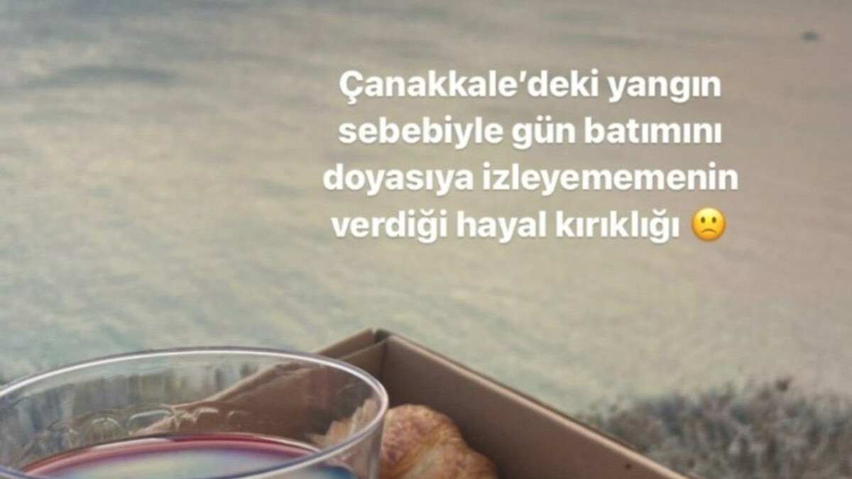 Çanakkale’deki orman yangınıyla ilgili tepki çeken paylaşım