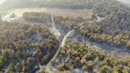 Çanakkale’deki yangında üçüncü gün: Havadan görüntülendi