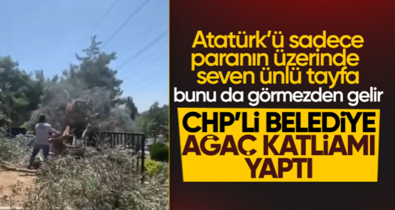 CHP’li Bornova Belediyesi zeytin ağaçları da dahil olmak üzere birçok ağacı kesti