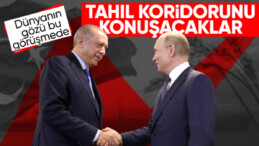 Cumhurbaşkanı Erdoğan-Vladimir Putin görüşmesi: Gündemde tahıl koridoru var