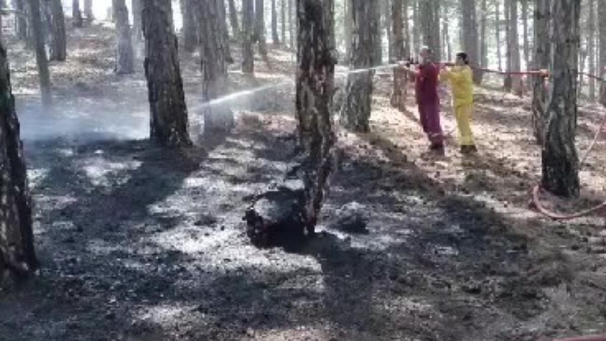 Denizli’de başlayan orman yangını söndürüldü
