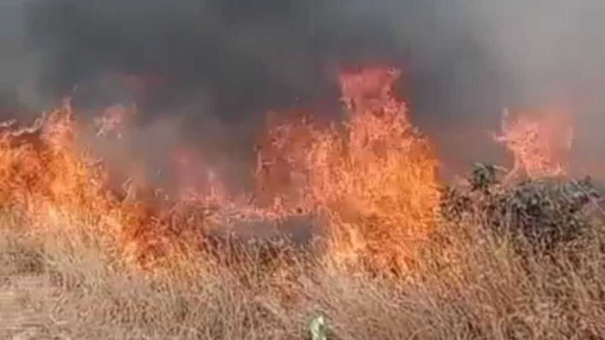 Denizli’de çıkan yangın söndürüldü