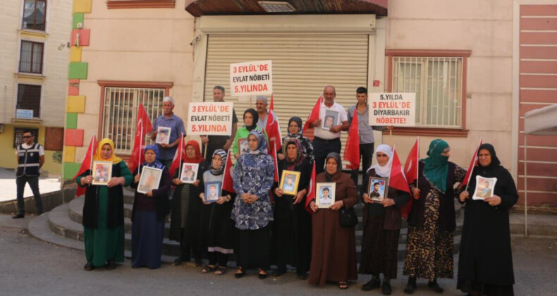 Diyarbakır annelerinden beşinci yıl çağrısı