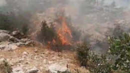 Diyarbakır’da orman yangını çıktı