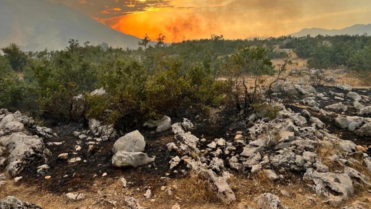 Diyarbakır’daki orman yangını 24 saatte söndürüldü