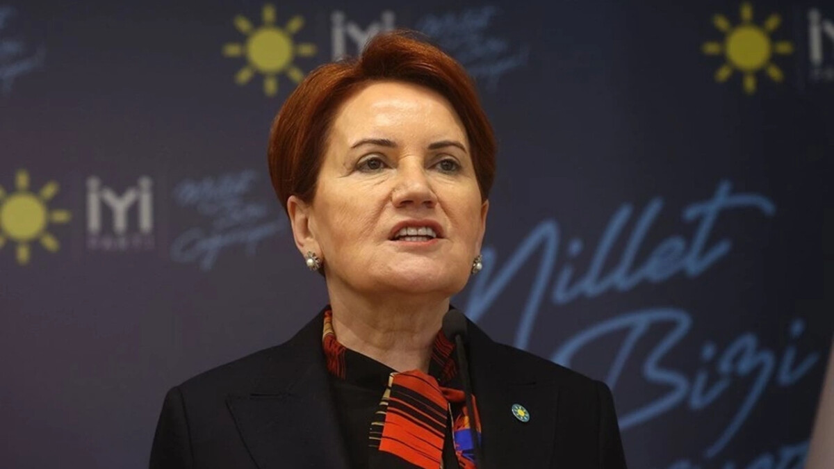 Doğan Çağlar’dan Meral Akşener’e: Devlet Bahçeli’nin eli geri çevrilmez
