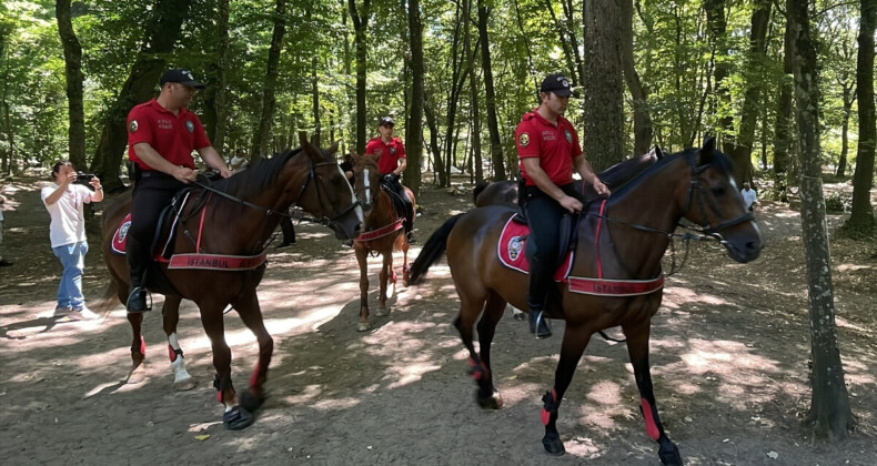 Ekipler harekete geçti! Belgrad Ormanı’na gelenler yangınlara karşı denetlendi