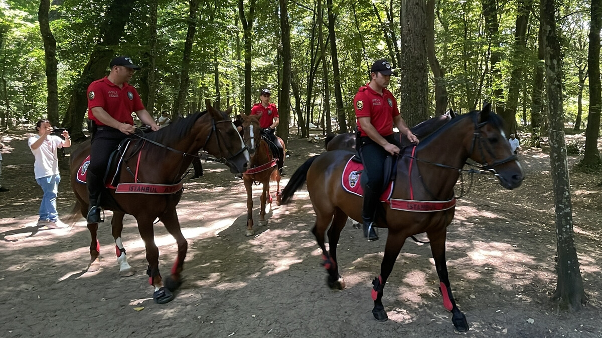 Ekipler harekete geçti! Belgrad Ormanı’na gelenler yangınlara karşı denetlendi