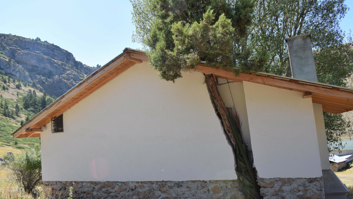 Gümüşhane’de ağaca uygun inşa edilen ev