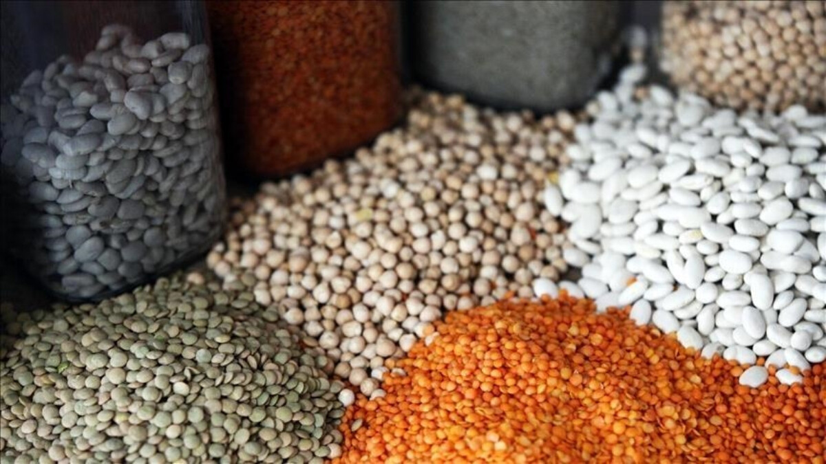 Güneydoğulu hububat ihracatçısı hedefine Afrika’yı koydu