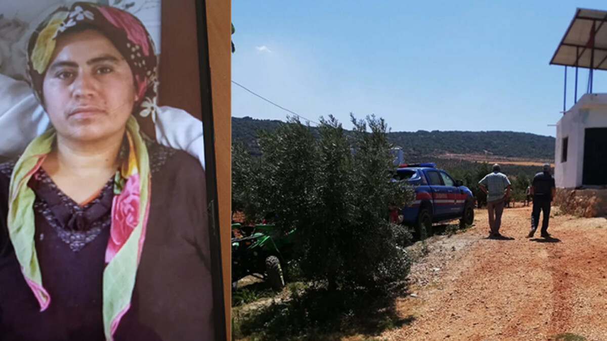 Hatay’da 7 gündür aranan kadın, zeytinlikte ölü bulundu
