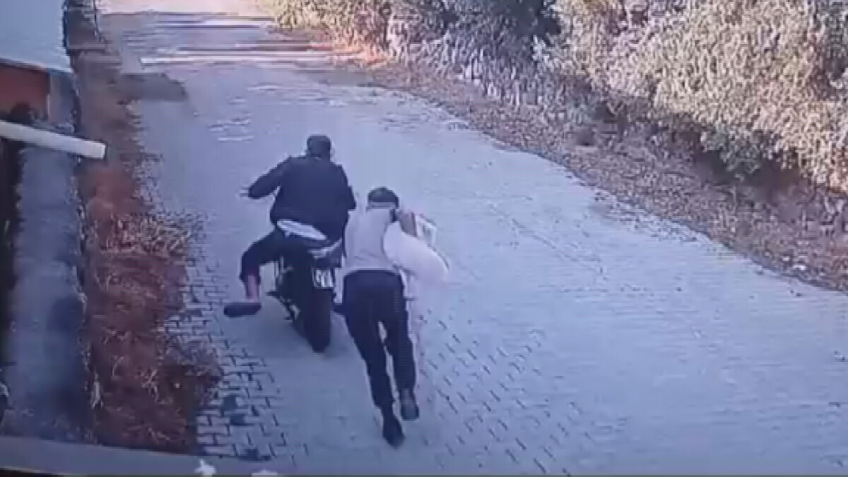 Hatay’da köpek çalan 2 hırsızın telaşı kamereya yansıdı