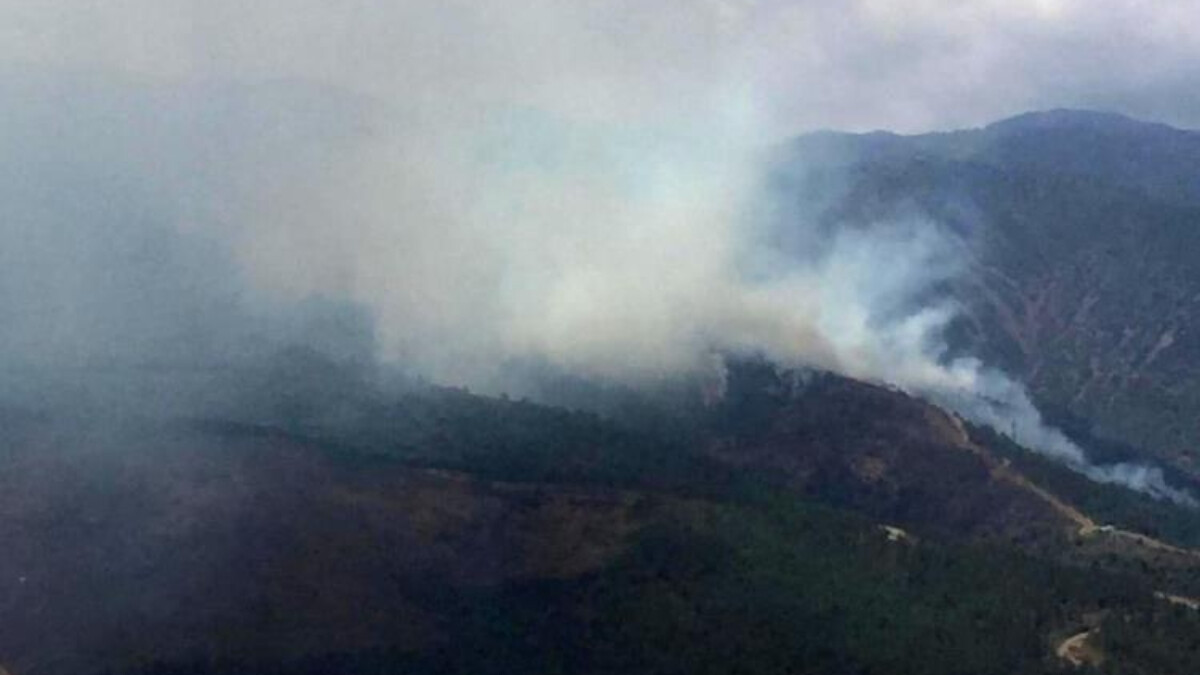 Hatay’da orman yangınına sebebiyet veren 4 kişi yakalandı