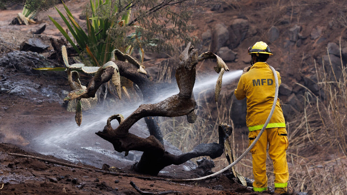 Hawaii orman yangınlarında ölenlerin sayısı artıyor: Yüzlerce kişi kayıp