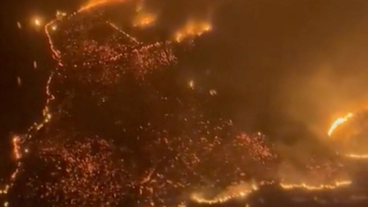 Hawaii’deki orman yangınları: Acil Durum Yönetim Kurumu Başkanı istifa etti