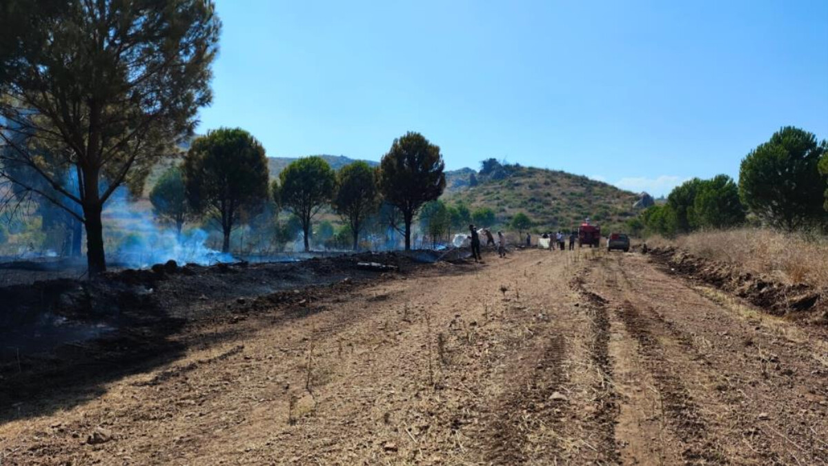 Isparta’da otluk alanda yangın