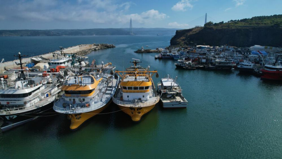 İstanbul’da balıkçıların gözü 1 Eylül’de: Vira Bismillah demeye hazırlanıyorlar