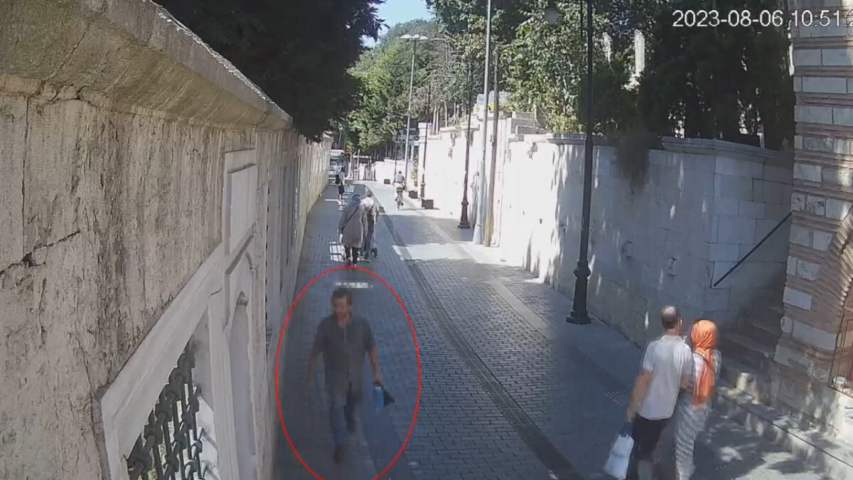 İstanbul’da kedilere kezzap ve asitle zarar veren saldırgana para cezası verildi