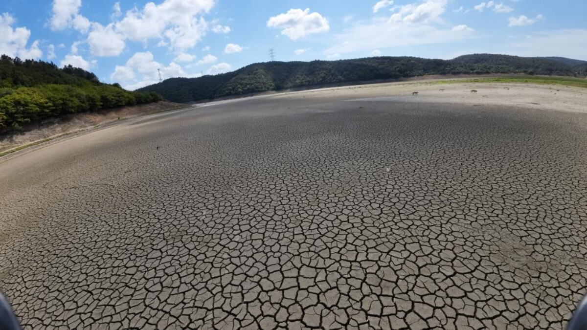 İstanbul’da kuraklığın havadan görüntüsü